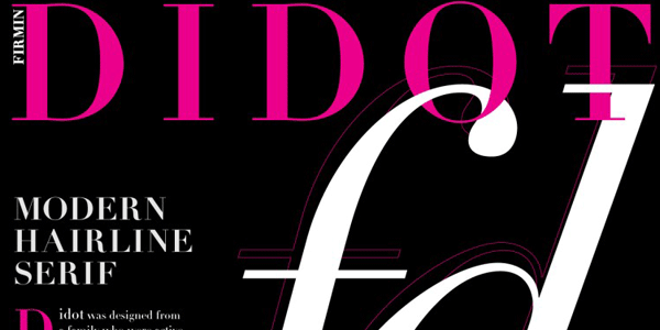 Didot Typography Poster